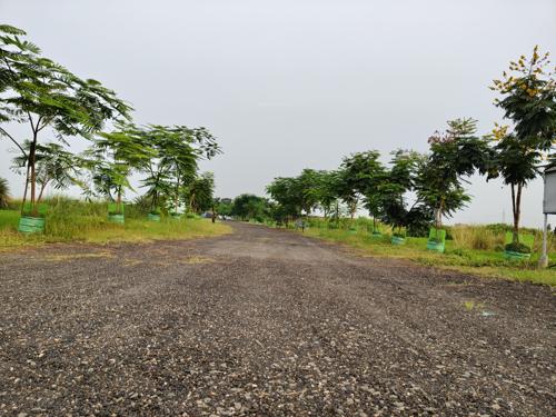  barsana-the-city-of-radha-rani Plot