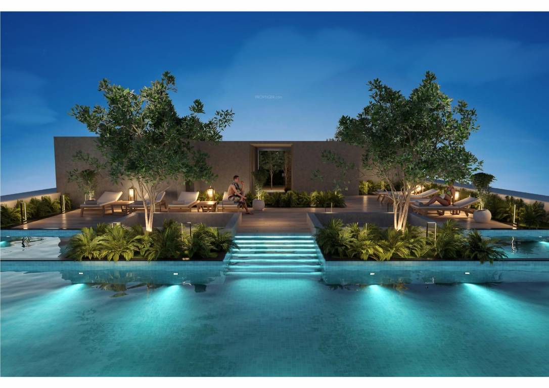  platinum esquire Others