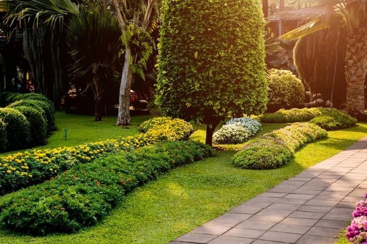  orizzonte phase 1 Others