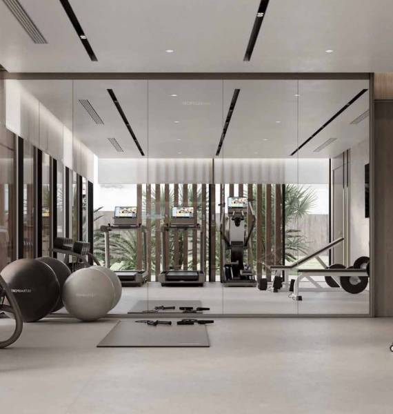  dynamix-luma Gymnasium