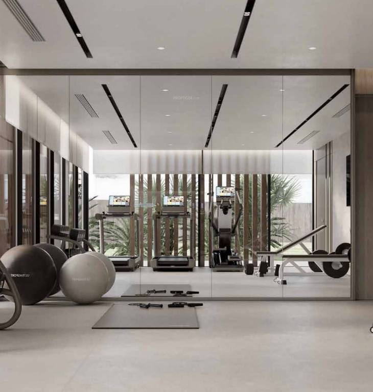  dynamix luma Gymnasium