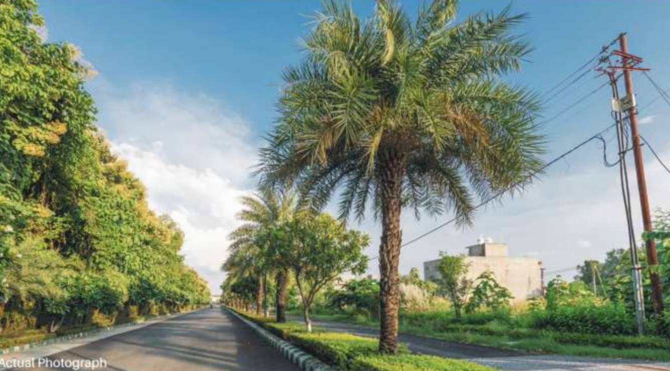  shaurya arcade Others