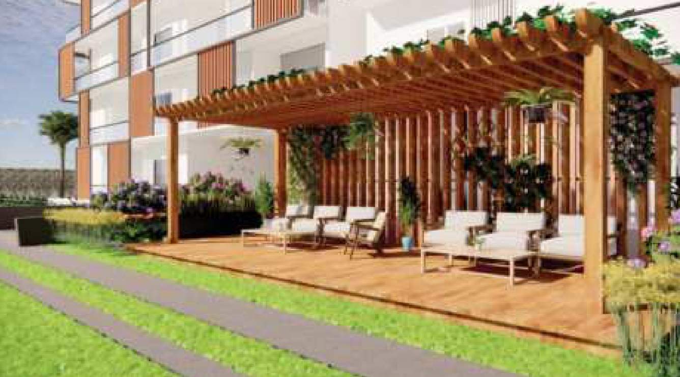  amparo Landscape Garden and Tree Planting