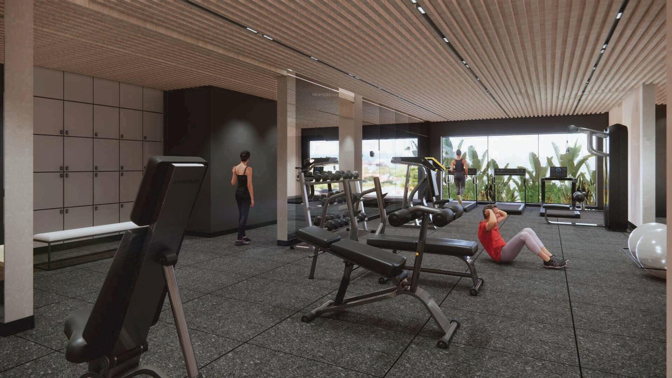  assetz 66 & shibui Gymnasium