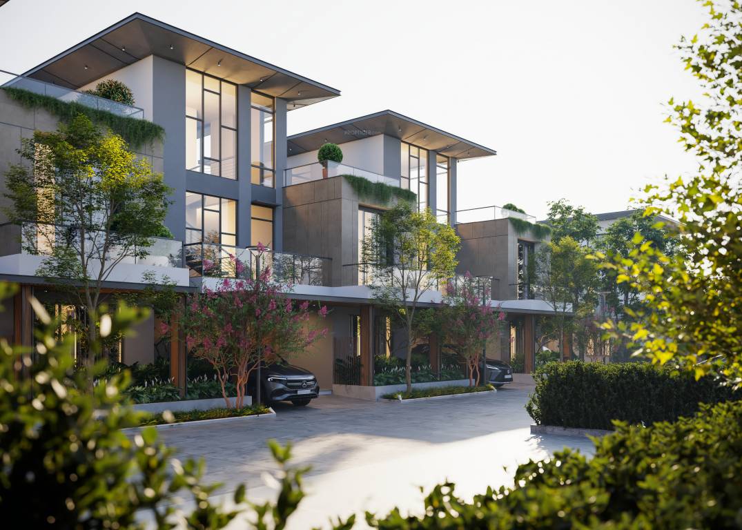 Elevation villa bellissimo Elevation