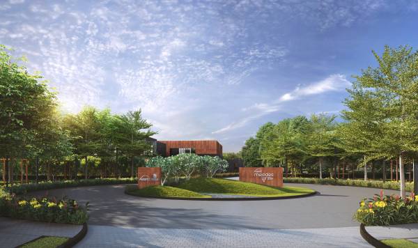  melodies-of-life Plot