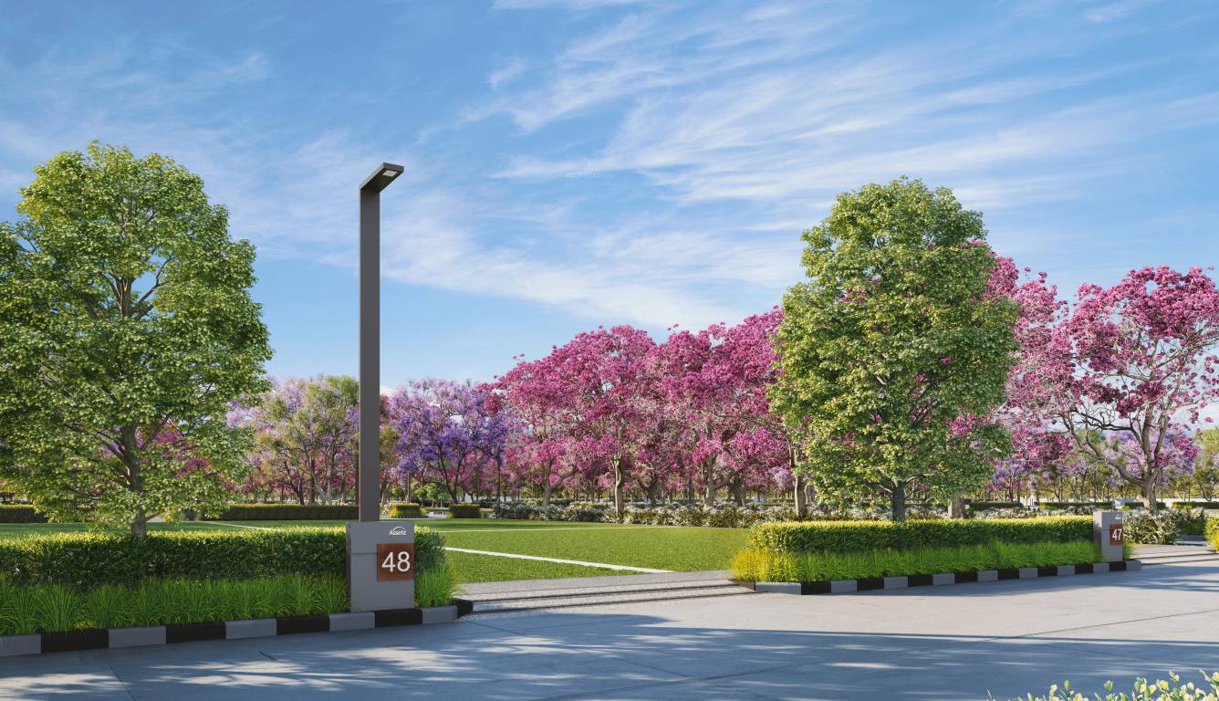 melodies of life Plot