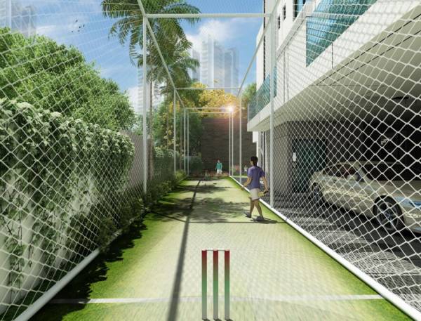  dream-scape Cricket Pitch