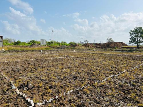  residential-plots-in-ranjanpada-near-mumbai-trans-harbour-link-bridge Plot
