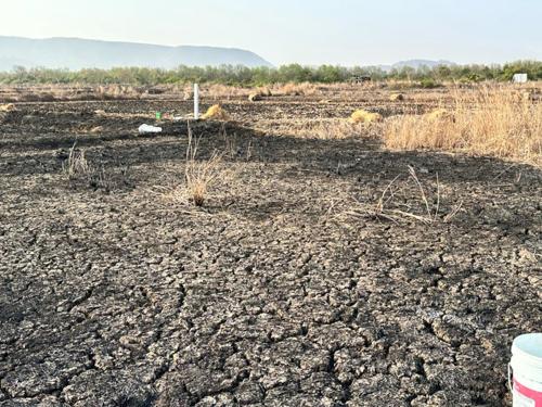  residential-plots-in-ulwe-near-mumbai-trans-harbour-link-bridge Plot