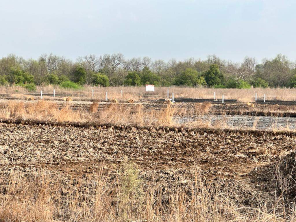  residential plots in ulwe near mumbai trans harbour link bridge Plot