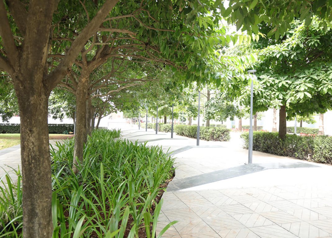  little earth kiwale building c13 Others