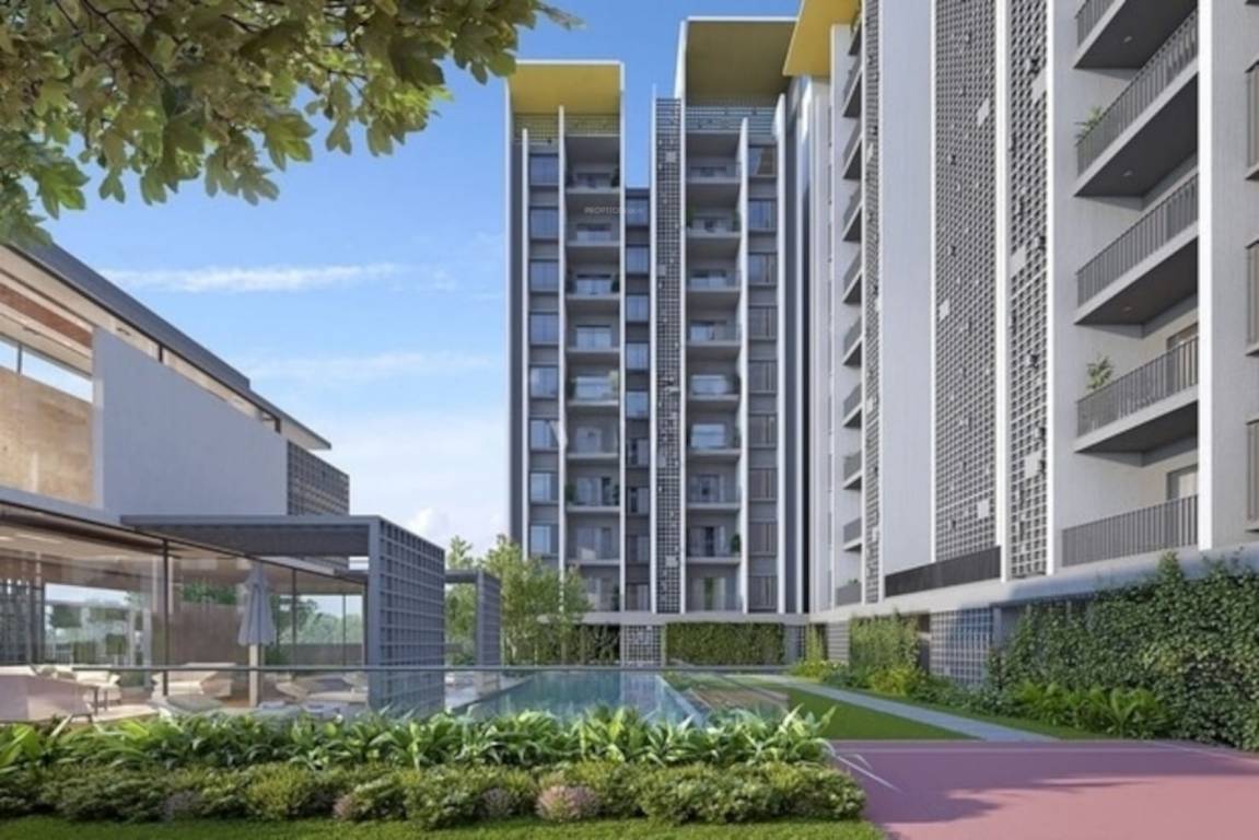  winds of joy project b Others