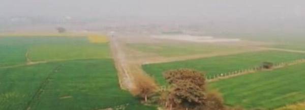 Elevation lotus-farms Elevation