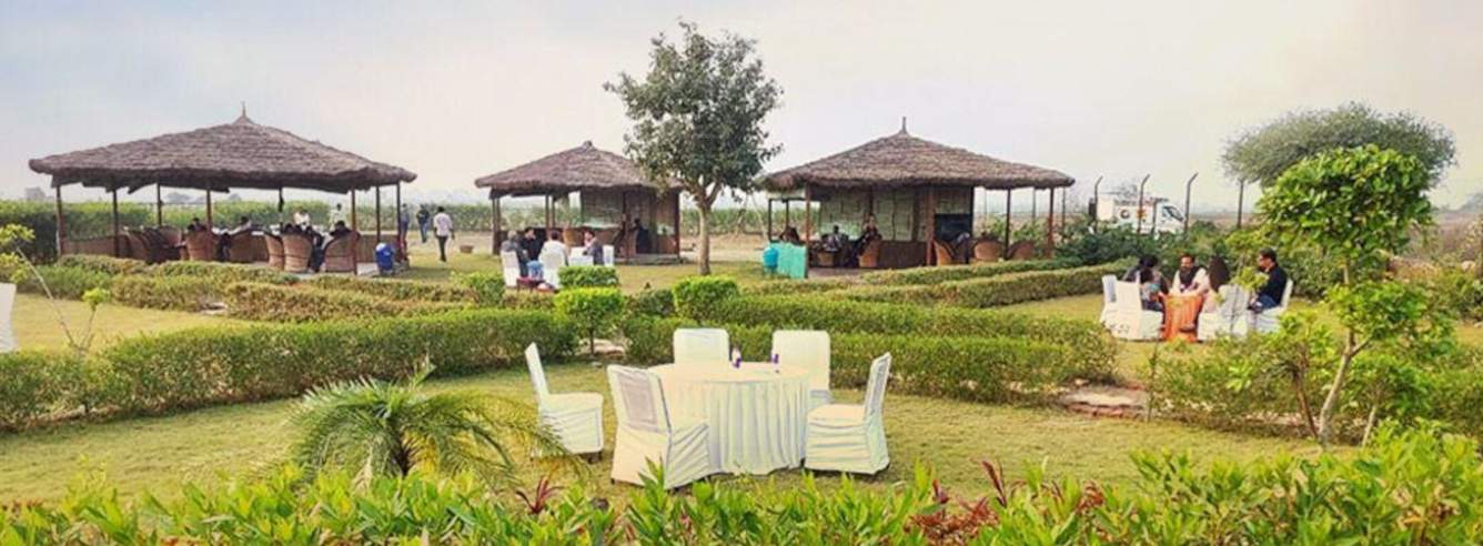 lotus farms Others