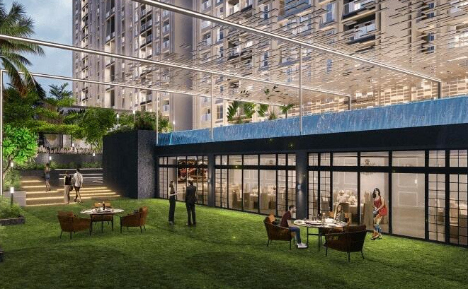 magnus phase 1 Others