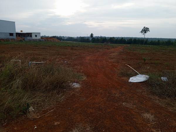  imperial-pinnacle-premier Plot