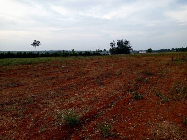  imperial-pinnacle-premier Plot