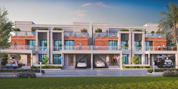  palm-paradise Elevation