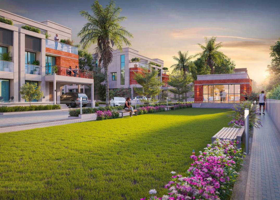 palm paradise Others