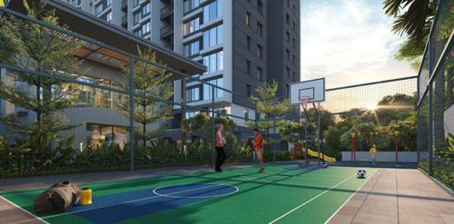  shriyans-3-0 Basketball Court