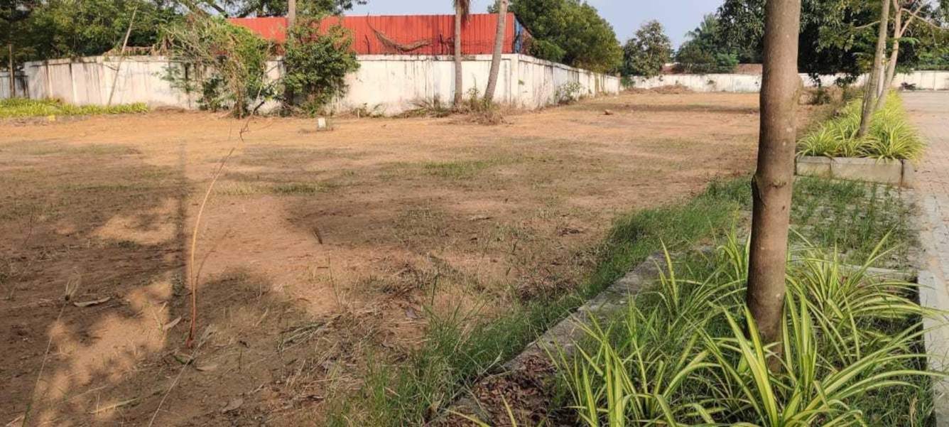  jjs gold square Plot
