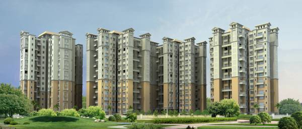  dmk-stella Elevation