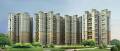 DMK Infrastructure Pvt Ltd DMK Stella