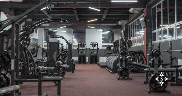  dmk-stella Gymnasium