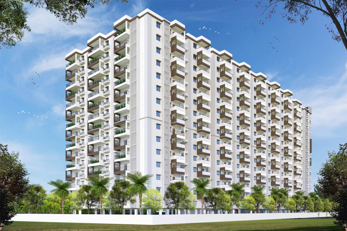  riddhis taranto Elevation