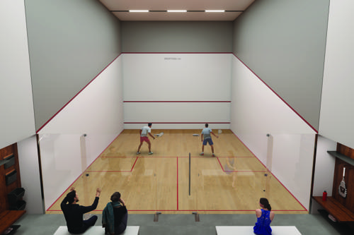 Squash Court mahindra-vista Squash Court