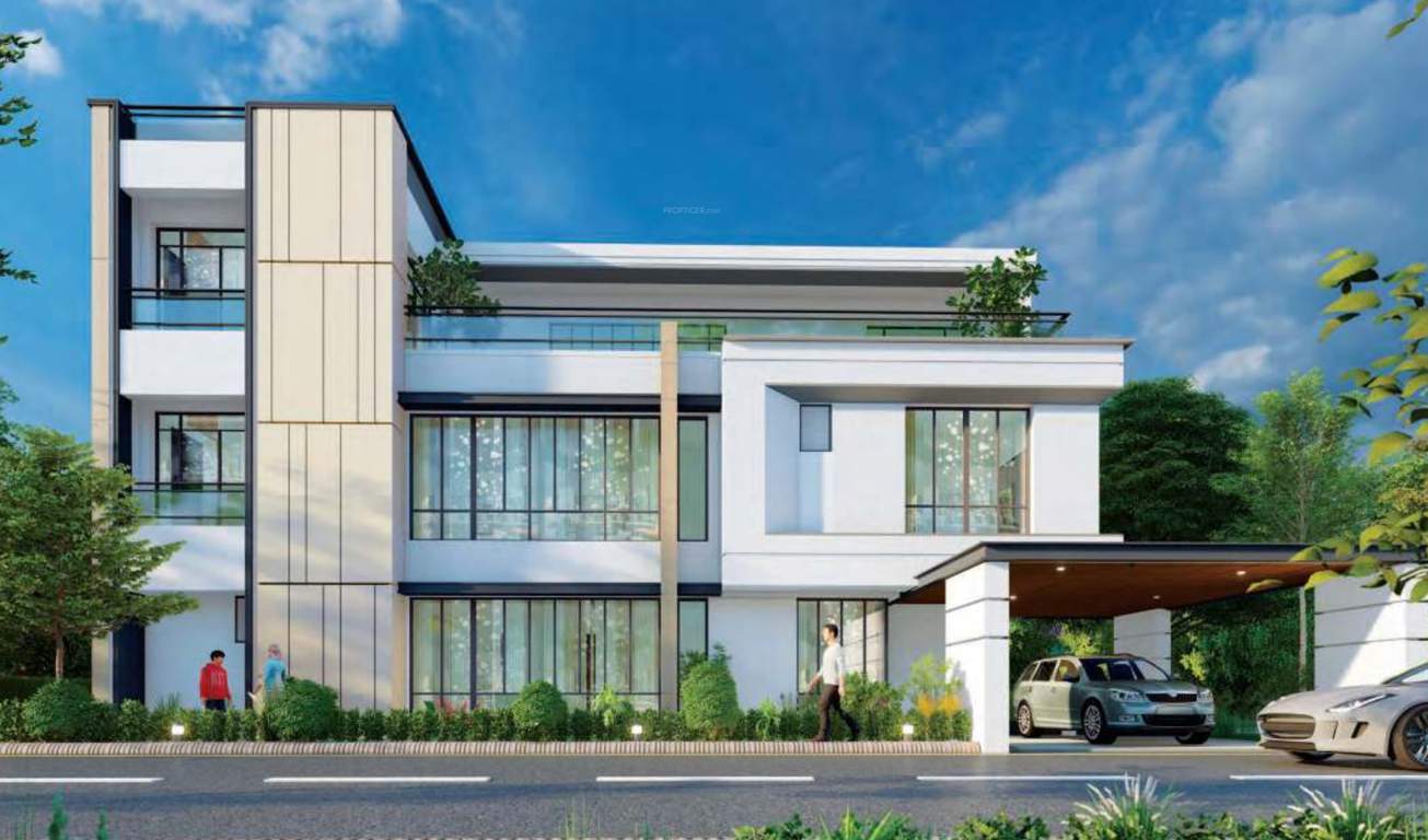  the pointe Elevation