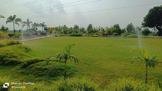  mauli town 21 Landscape Garden and Tree Planting