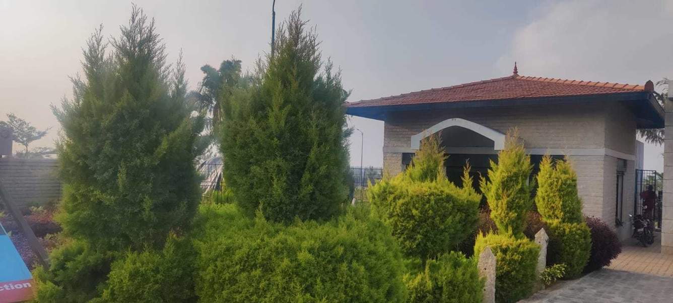  port Landscape Garden and Tree Planting