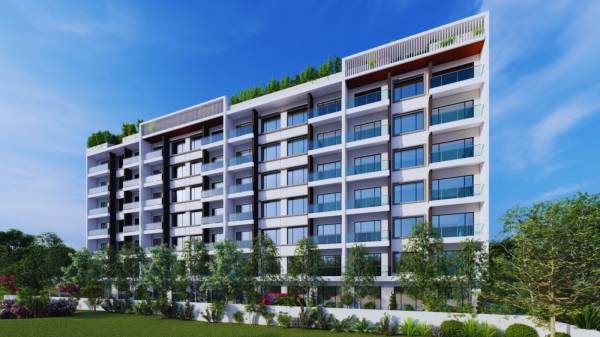 Elevation elite-35 Elevation