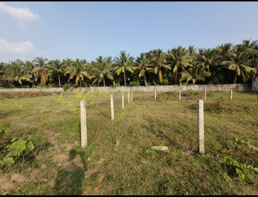  vip city plot Elevation