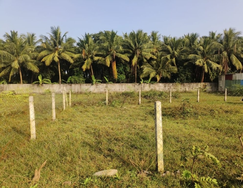  vip city plot Elevation