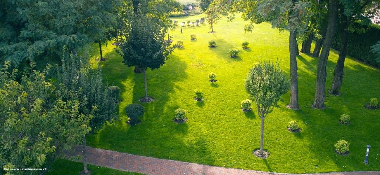  reserve wing 4 Landscape Garden and Tree Planting