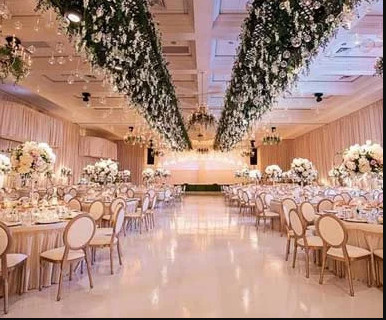  reserve-wing-1 Others