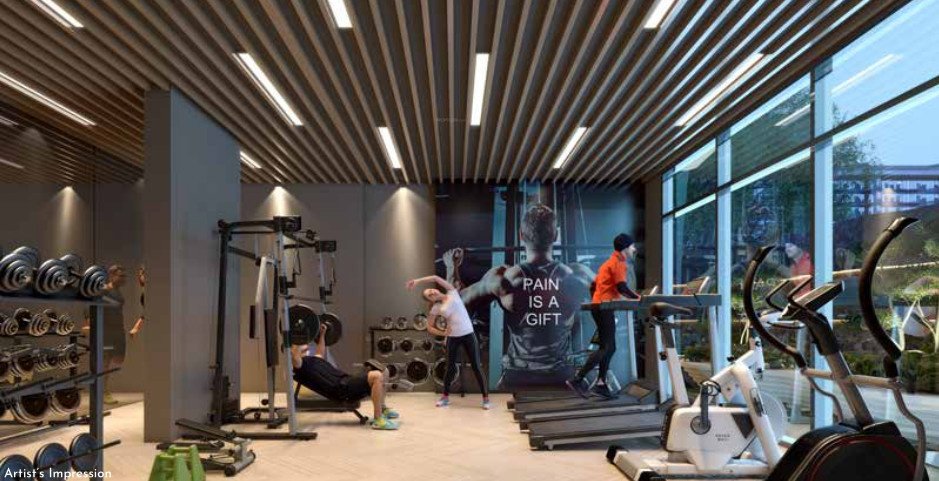  codename hifi living Gymnasium