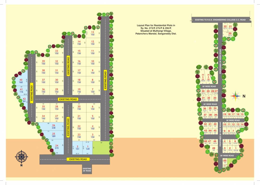  homes Layout Plan