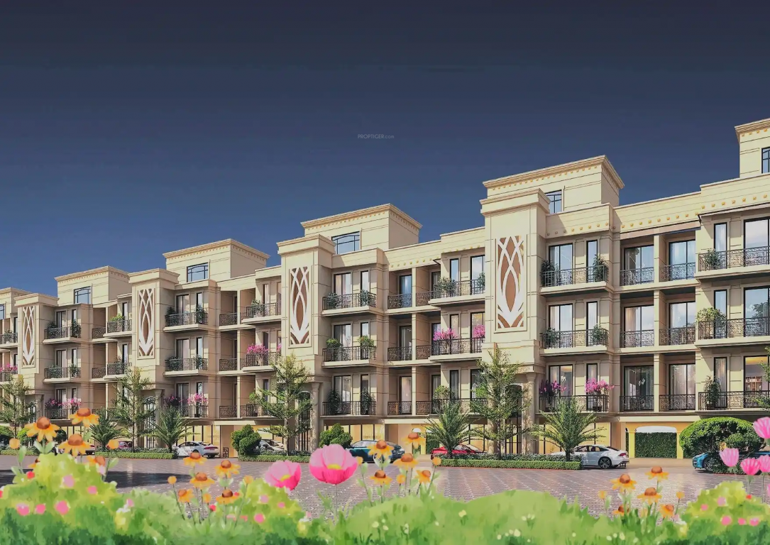 Elevation floret central Elevation