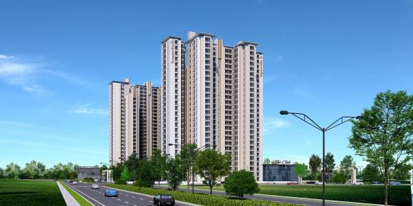 Elevation imperia-dreamville Elevation