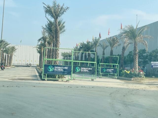 Signature Global De Luxe DXP