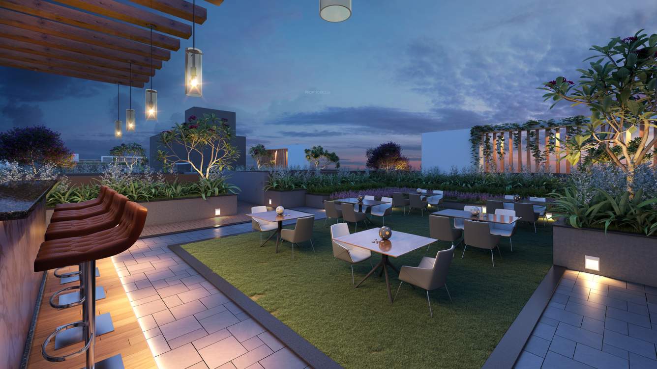  cosmos prashil Party Lawn