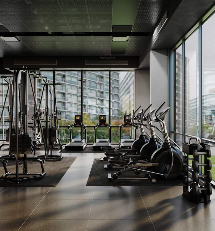 entertainment city Gymnasium