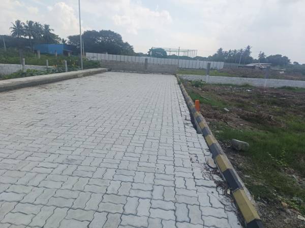  friends-avenue Elevation