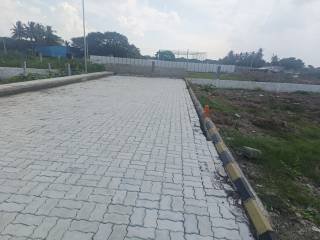 Project Image Project Image