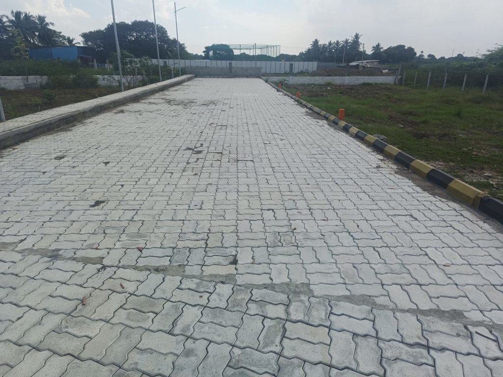  friends avenue Internal Roads