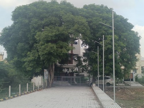  friends-avenue Internal Roads